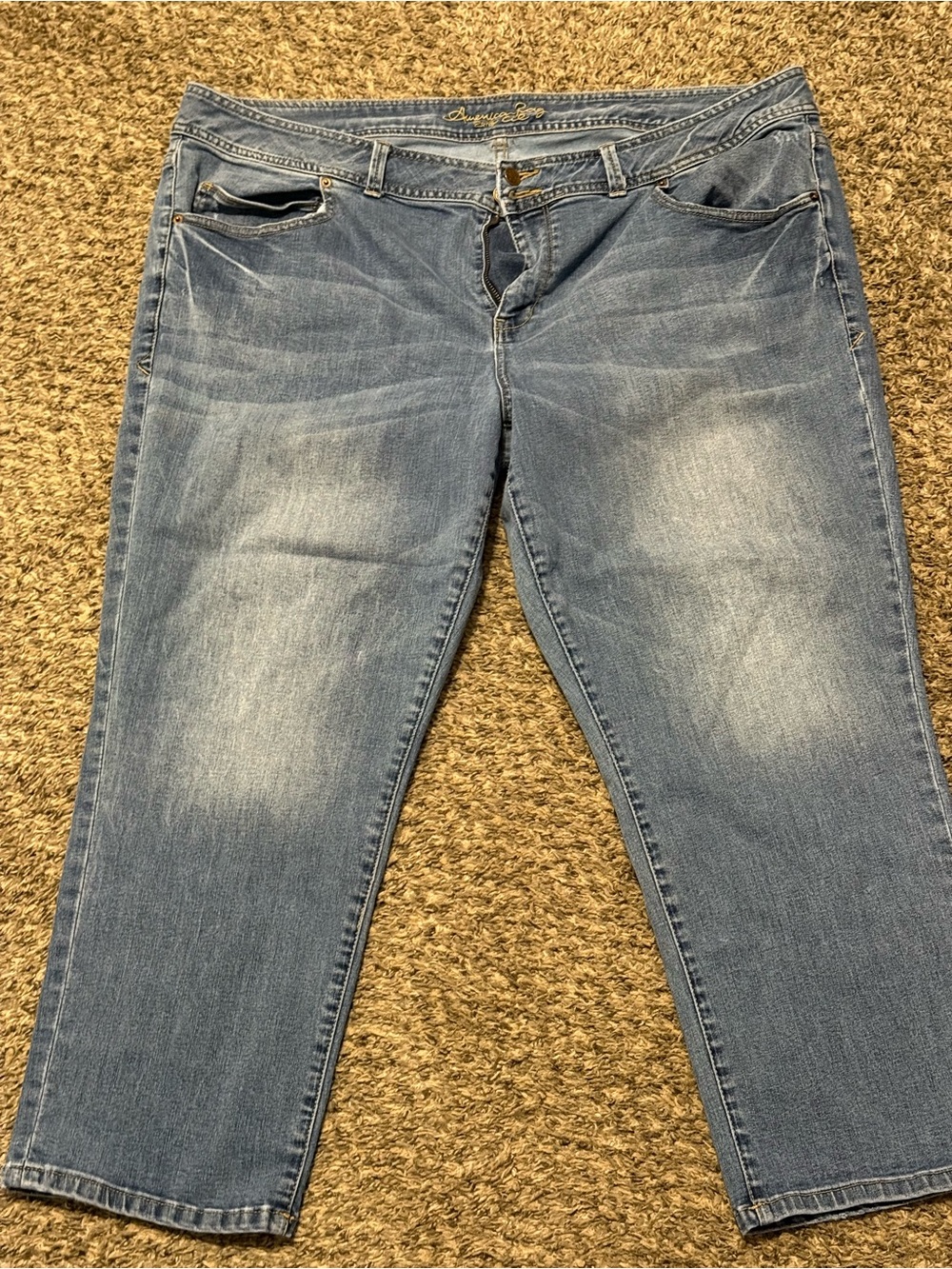 American rag plus size capris size 22